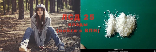сатива Алексин
