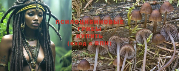 дмт Алексеевка