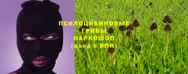 сатива Алексин