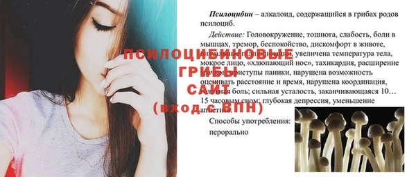 дмт Алексеевка