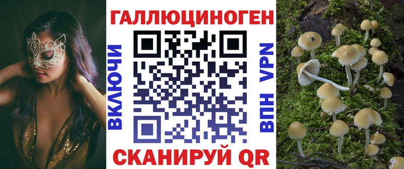 Галлюциногенные грибы Psilocybe  Гусь-Хрустальный 